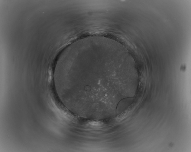 X0000094430659200711081227