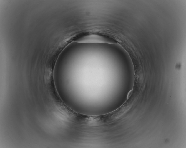X0000094430660200711081227