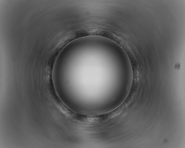X0000094430664200711081227