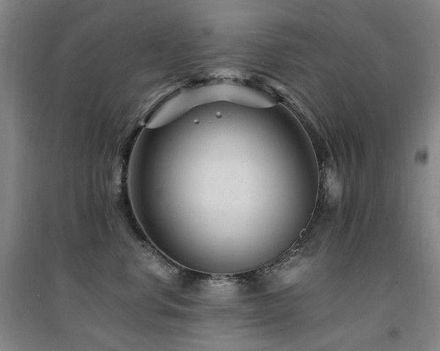 X0000094430668200711081227