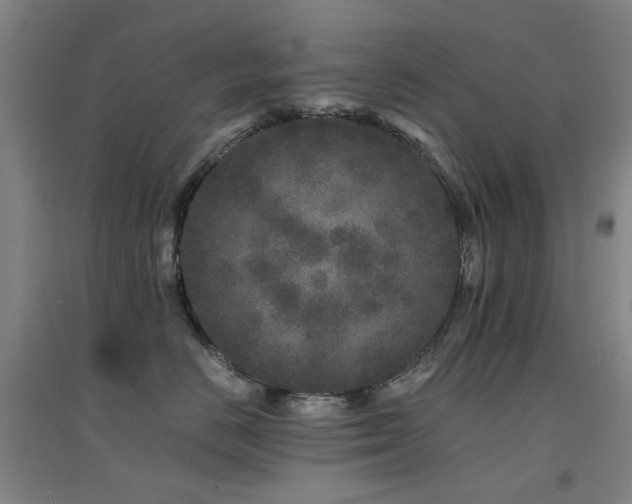 X0000094430670200711081227
