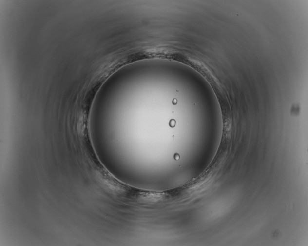 X0000094430671200711081227