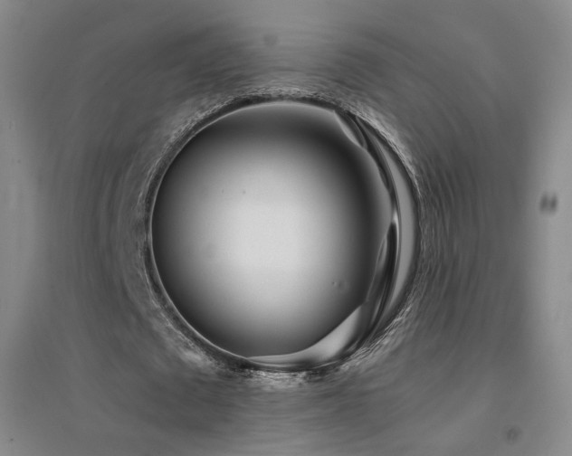 X0000094430673200711081226