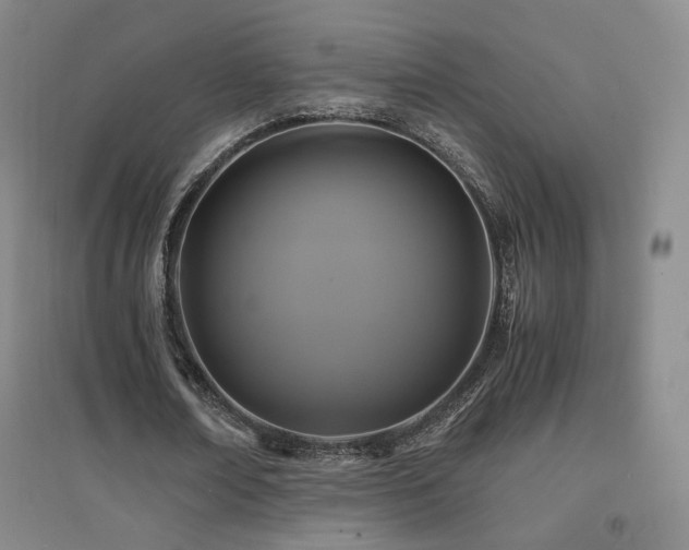 X0000094430674200711081226