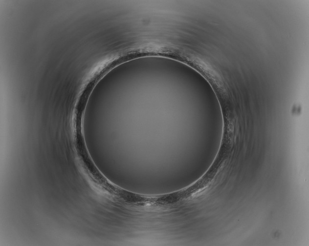 X0000094430678200711081226