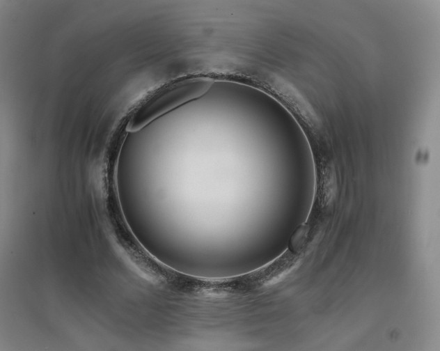 X0000094430680200711081226