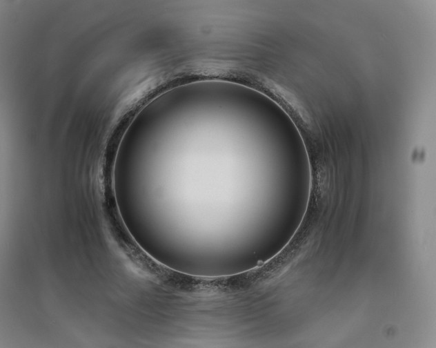 X0000094430682200711081226