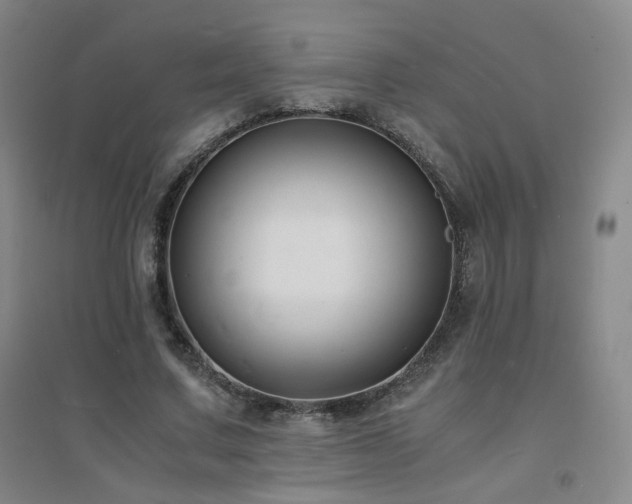 X0000094430683200711081226