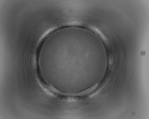 X0000094430684200711081226