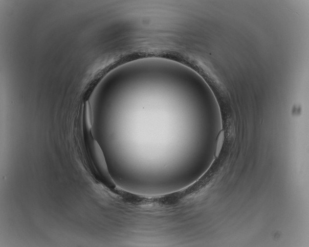 X0000094430685200711081226