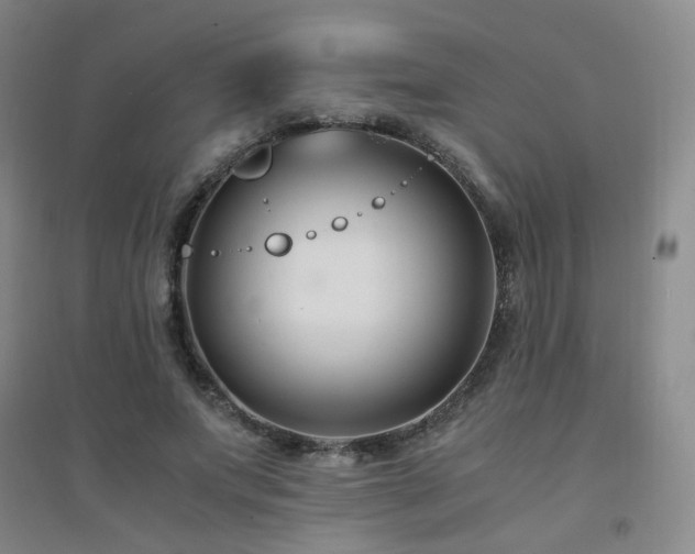 X0000094430687200711081226