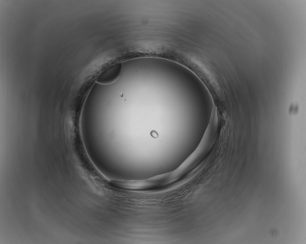 X0000094430688200711081226