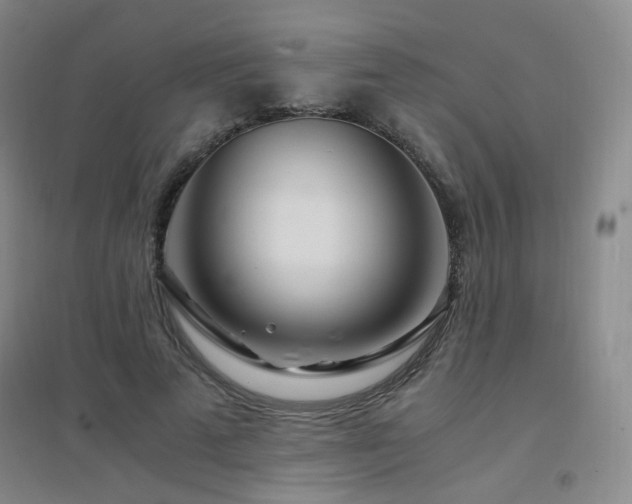 X0000094430689200711081226