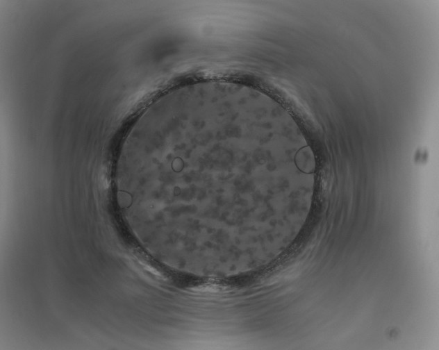 X0000094430691200711081226