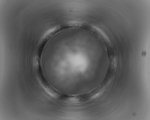 X0000094430692200711081226