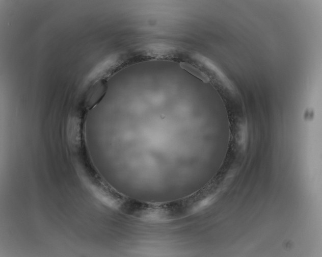 X0000094430696200711081226