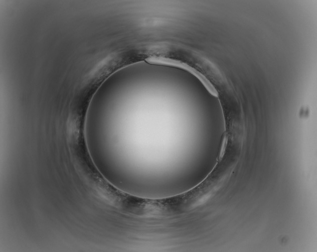 X0000094430697200711081226