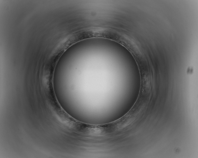X0000094430698200711081226