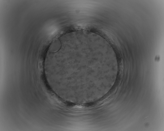 X0000094430699200711081226