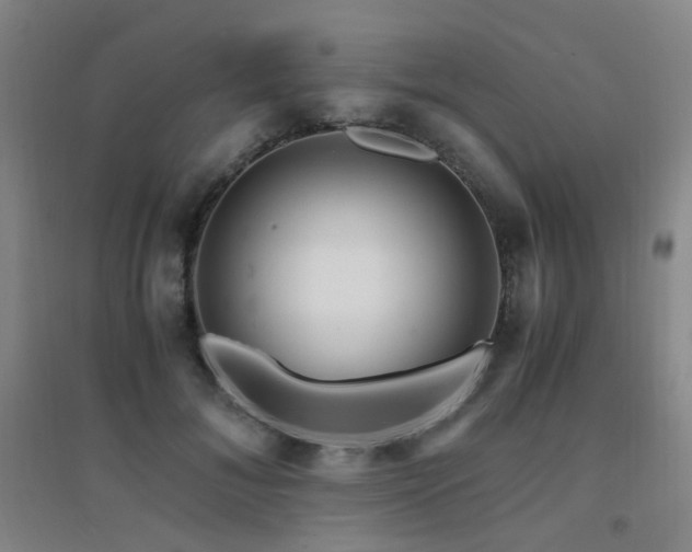 X0000094430700200711081226