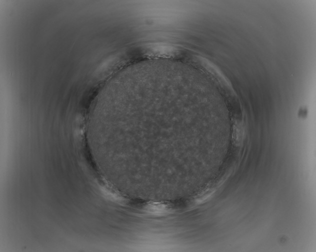 X0000094430701200711081226