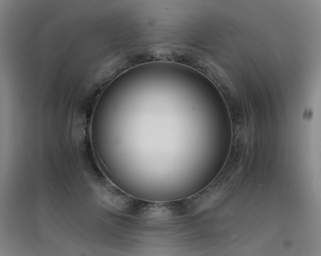 X0000094430702200711081226