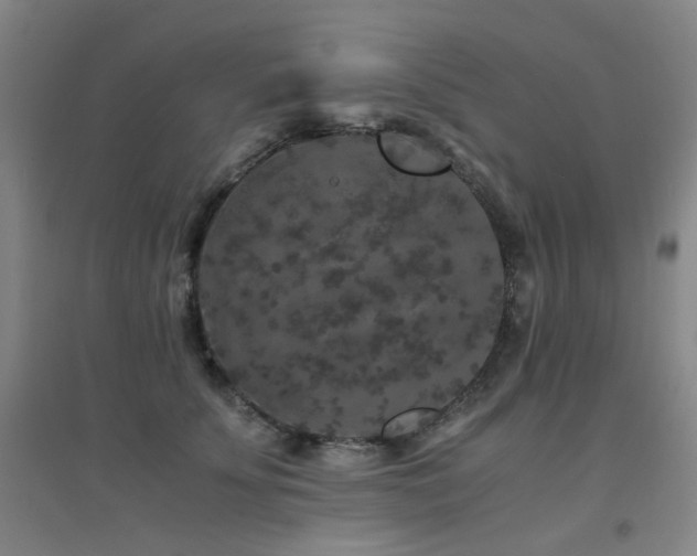 X0000094430707200711081226