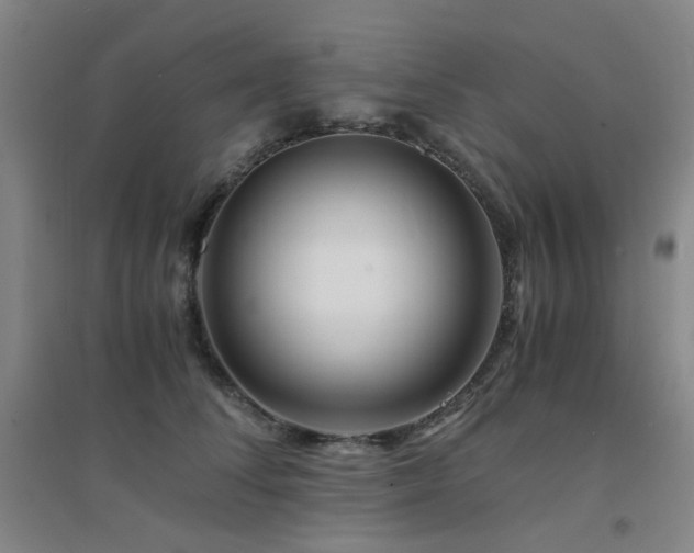 X0000094430708200711081226