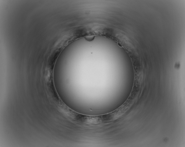 X0000094430709200711081226