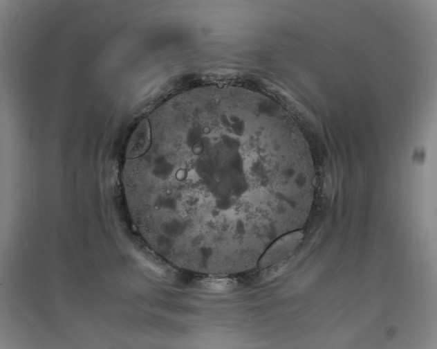 X0000094430711200711081226