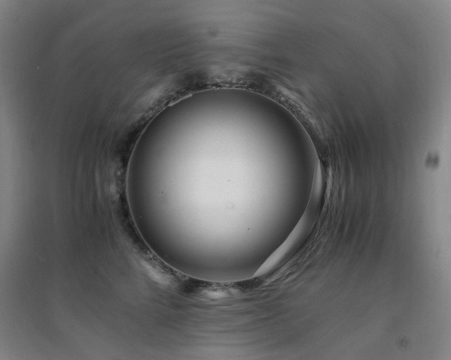 X0000094430712200711081226