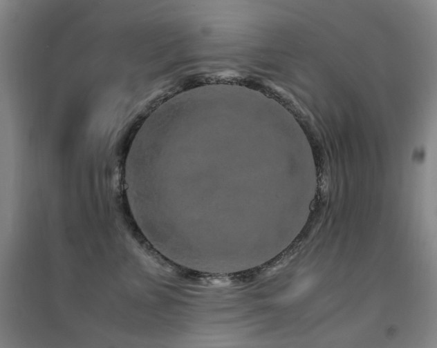 X0000094430715200711081226