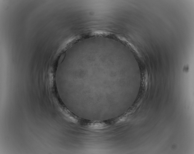 X0000094430716200711081226