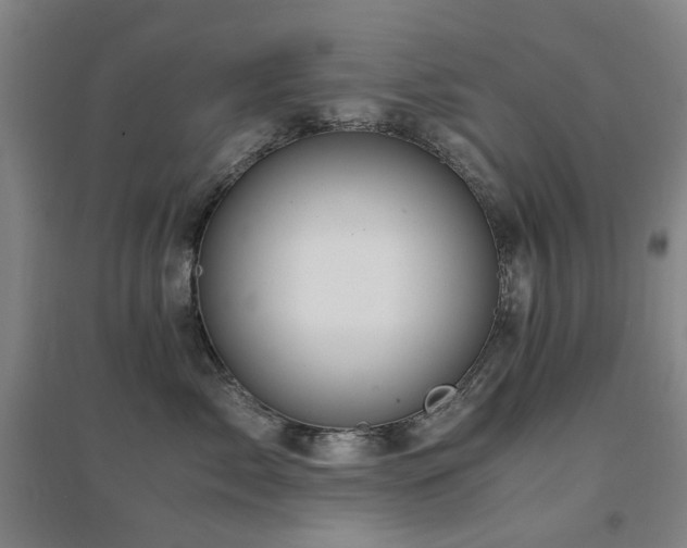 X0000094430717200711081226