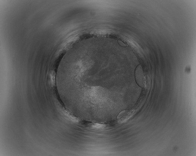 X0000094430718200711081226