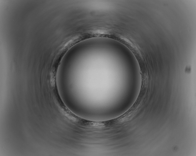 X0000094430719200711081226