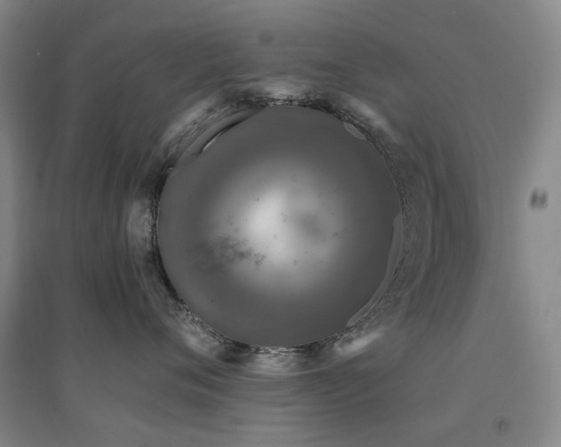 X0000094430720200711081226