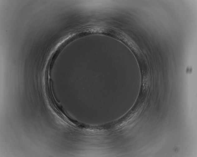 X0000094430722200711081225