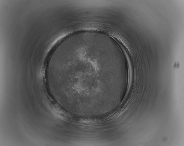 X0000094430723200711081225