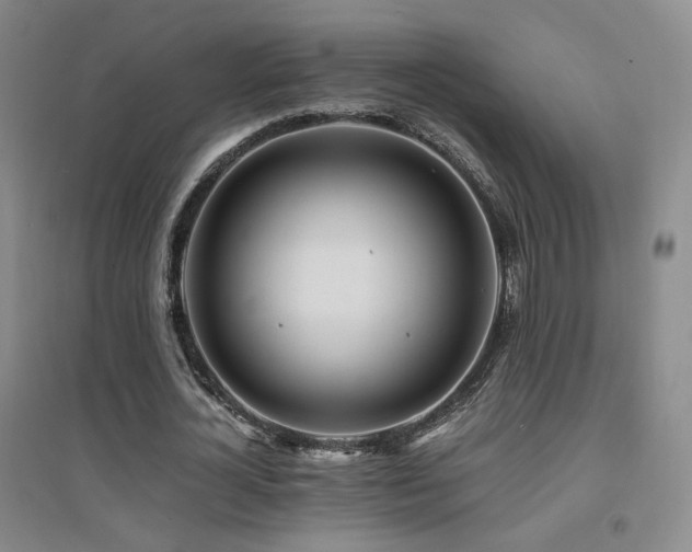 X0000094430724200711081225
