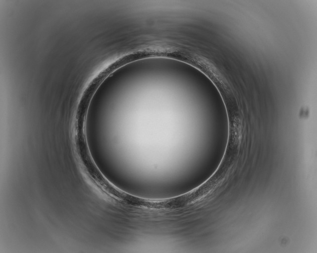 X0000094430726200711081225