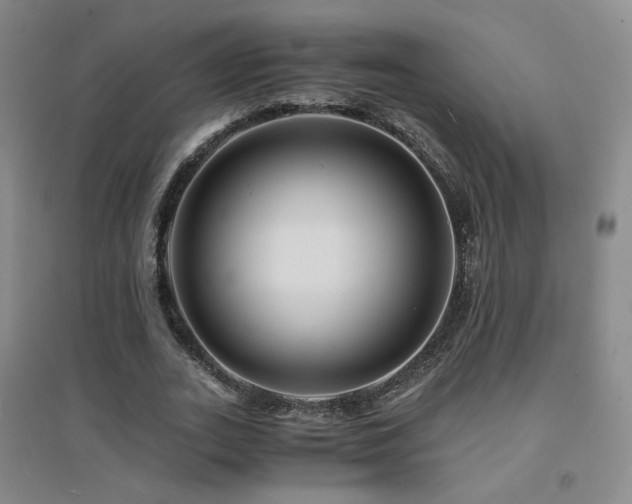 X0000094430727200711081225