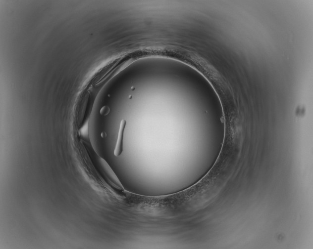 X0000094430728200711081225