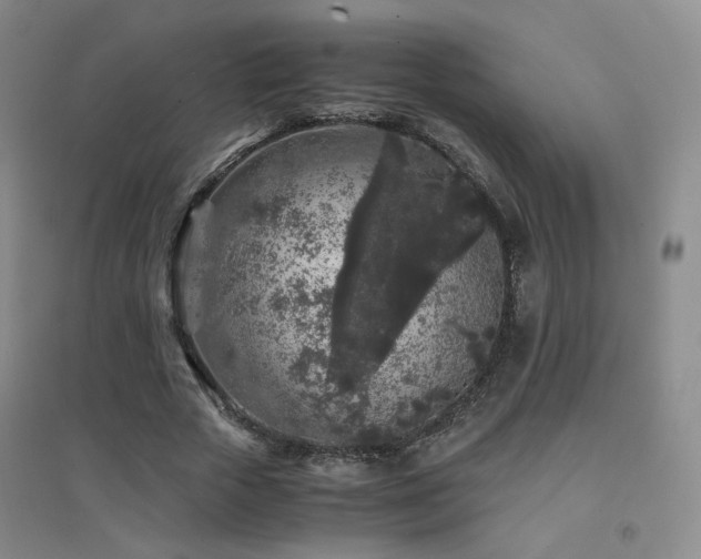 X0000094430729200711081225