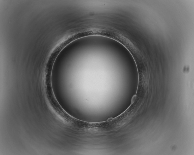 X0000094430730200711081225