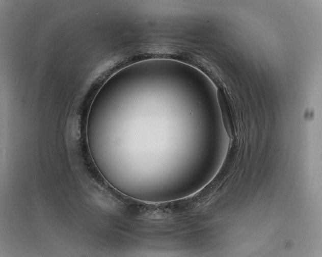 X0000094430731200711081225