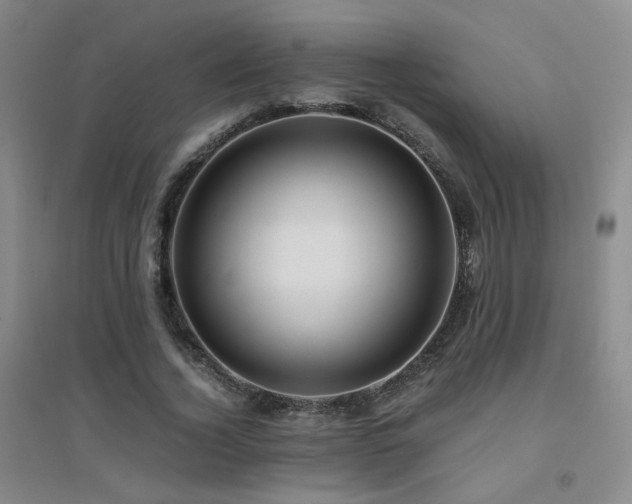 X0000094430732200711081225