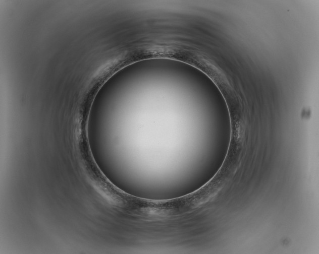 X0000094430733200711081225