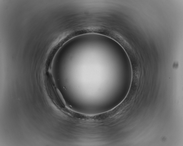 X0000094430734200711081225