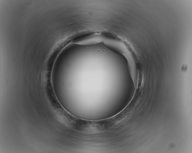 X0000094430736200711081225